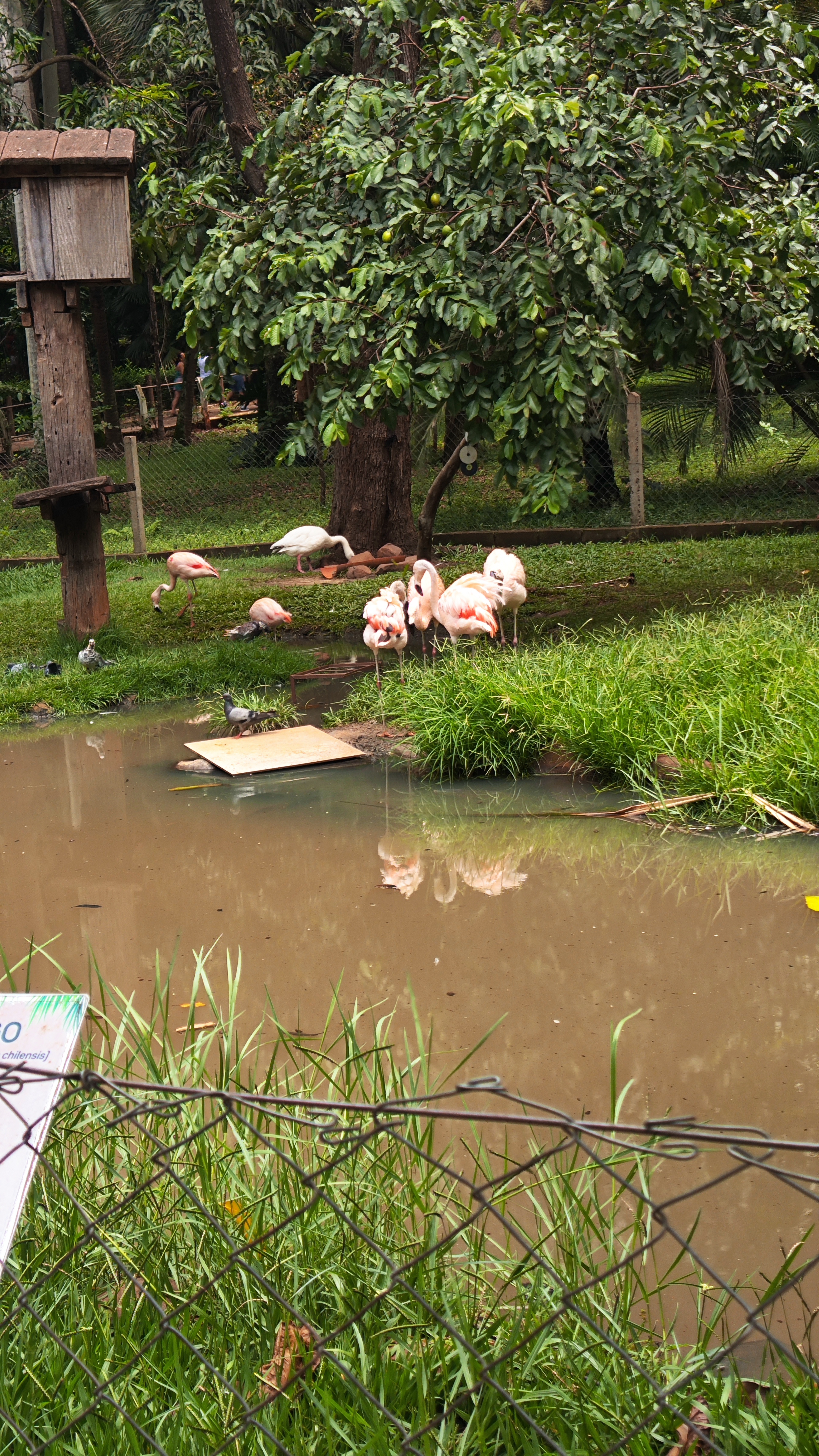 Foto 10 — fev/2026