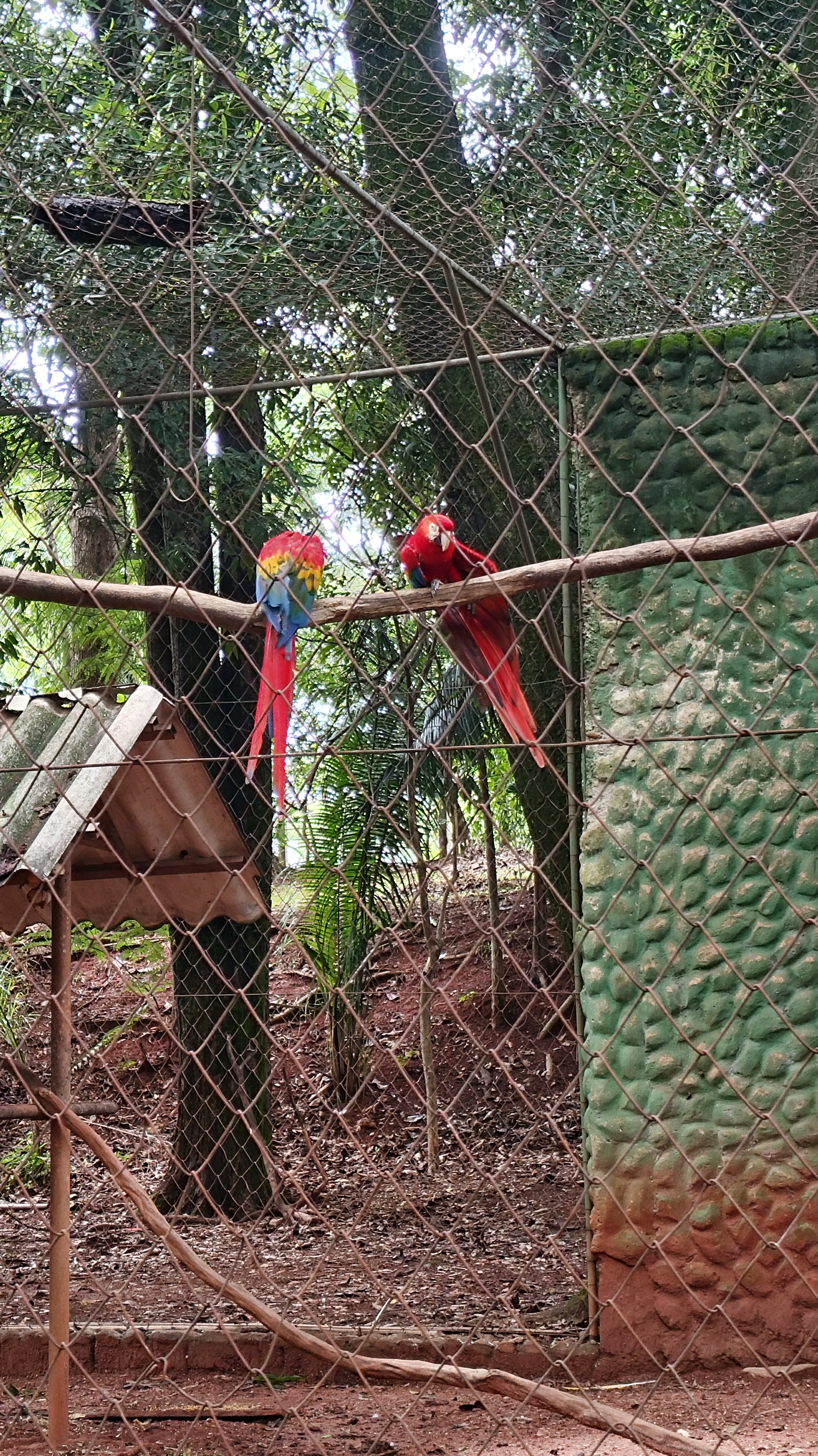 Foto 13 — fev/2026